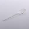 Compostable 6.5 in. White CPLA Plastic Spoon - 1000/Case