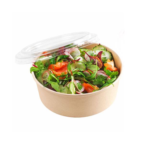 Disposable Takeaway Plastic Salad Bowl with Lid - China Plastic