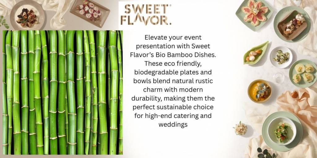 Why Should You Choose Bamboo Dishes for Your Next Event?