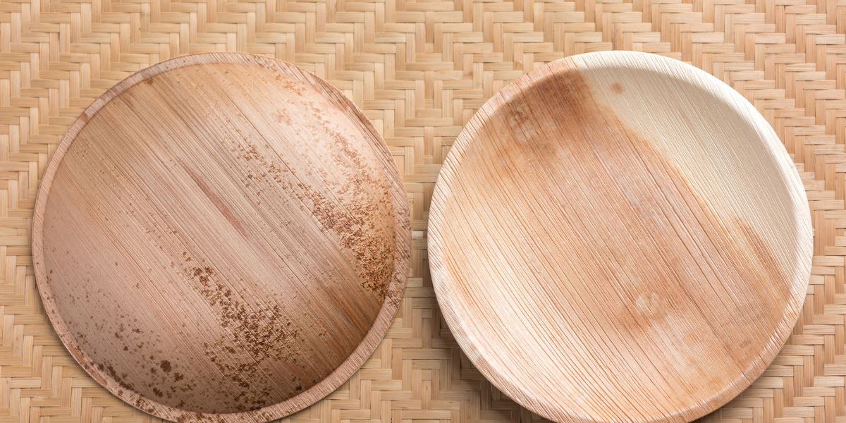 5 Reasons Palm Leaf Plates Are Perfect for Any Party