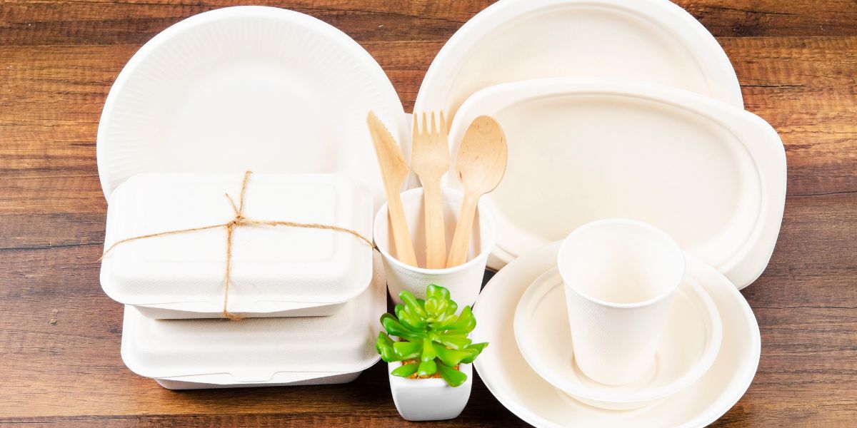 Are Bagasse Plates Safe With Hot, Oily, Greasy Food?