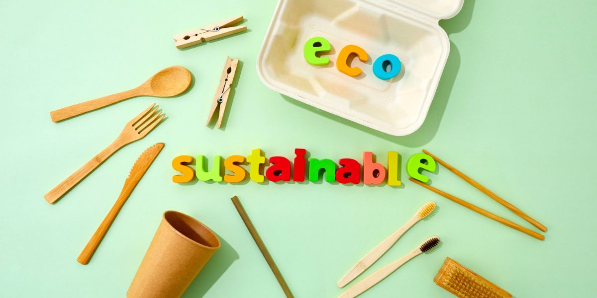 Eco Friendly Food Containers That Cut Costs and Waste