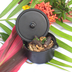 Collection image for: Reusable Black Plastic Cooking Pot with Lid