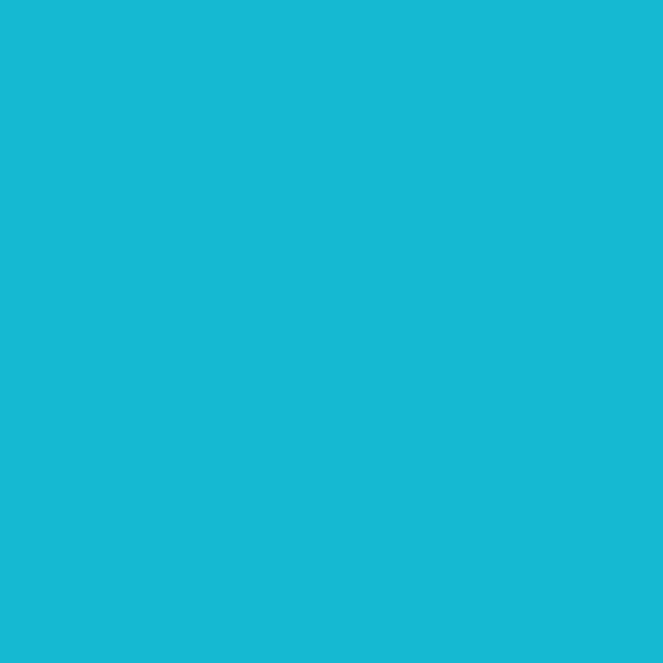 Turquoise Upscale Plastic Cutlery Set - 30/Set