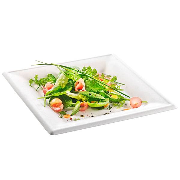 White Sugarcane / Bagasse Square Dinner Plate 10 in. 50/Case