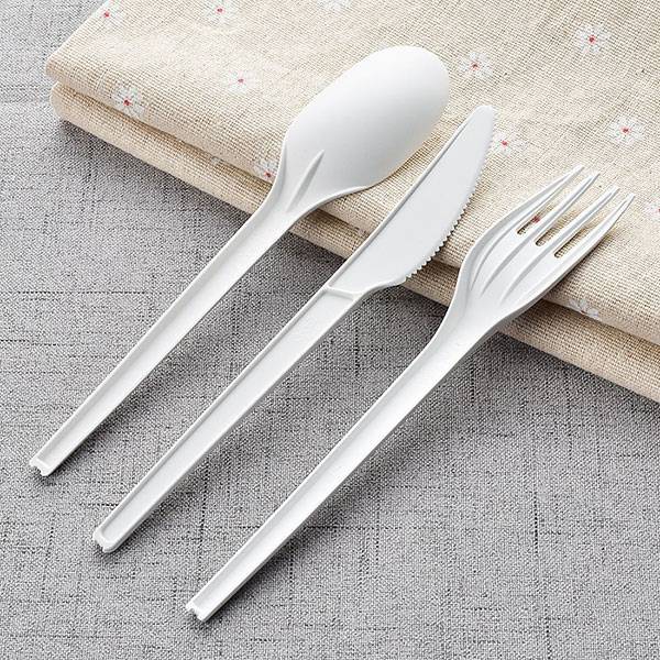 Compostable 6.5 in. White CPLA Plastic Spoon - 50/Set