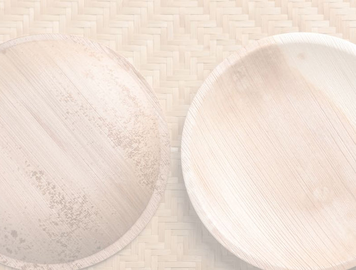 <h2>5 Reasons Palm Leaf Plates Are Perfect for Any Party</h2>