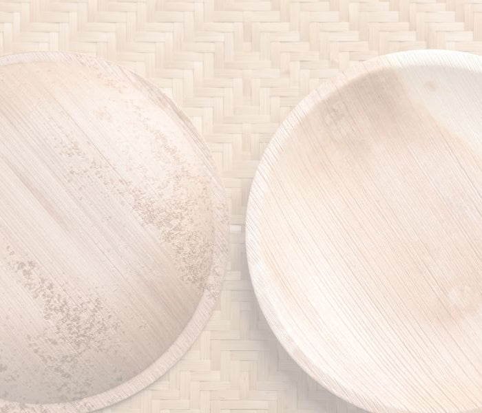 <h2>5 Reasons Palm Leaf Plates Are Perfect for Any Party</h2>