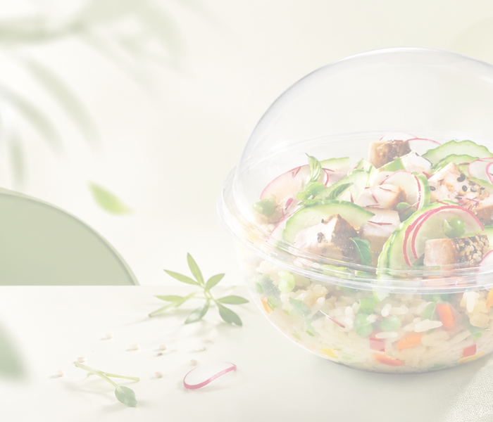 <h1>Best Disposable Salad Containers to Keep Your Greens Fresh in 2026</h1>