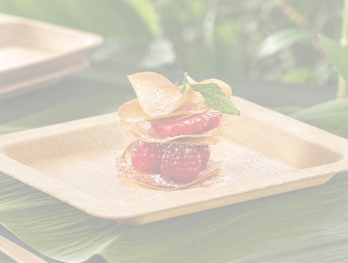 <h1>Why Bamboo Disposable Plates? 10 Benefits for Every Occasion</h1>
