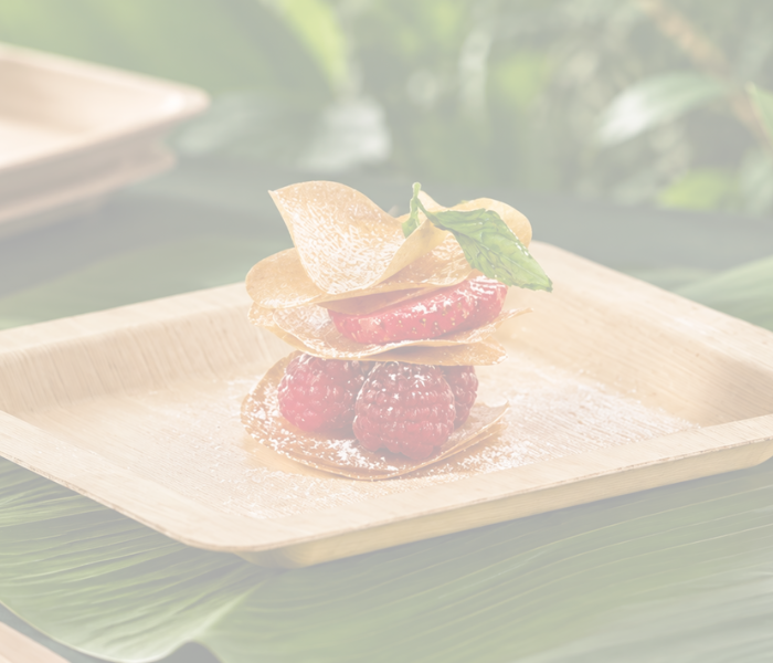 <h1>Why Bamboo Disposable Plates? 10 Benefits for Every Occasion</h1>
