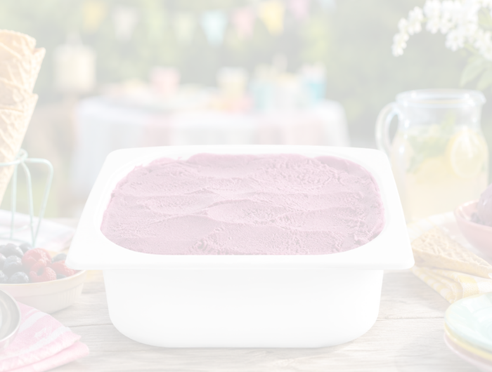 <h1>The Perfect Ice Cream Bucket for Summer Parties & Gatherings</h1>