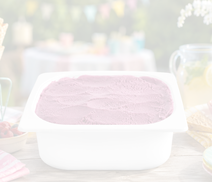 <h1>The Perfect Ice Cream Bucket for Summer Parties & Gatherings</h1>
