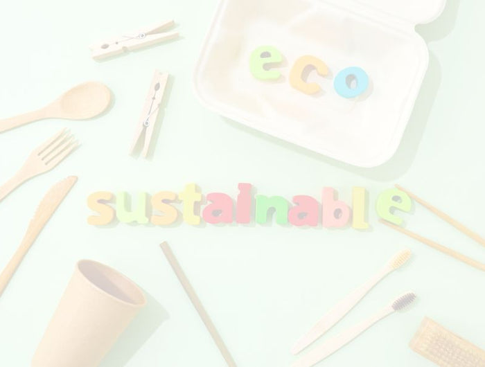 <h2>Eco Friendly Food Containers That Cut Costs and Waste</h2>