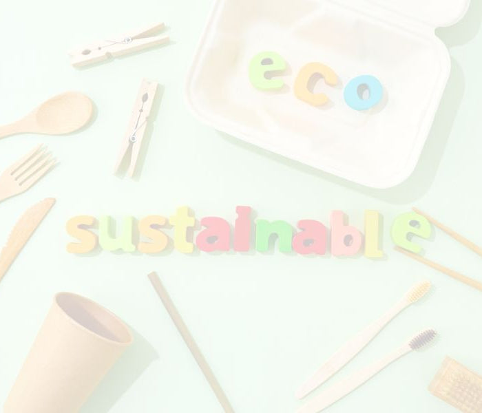<h2>Eco Friendly Food Containers That Cut Costs and Waste</h2>