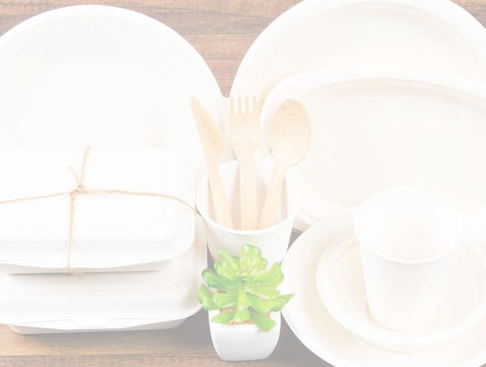 <h1>Are Bagasse Plates Safe With Hot, Oily, Greasy Food?</h1>