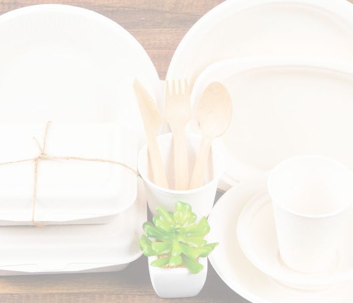 <h1>Are Bagasse Plates Safe With Hot, Oily, Greasy Food?</h1>