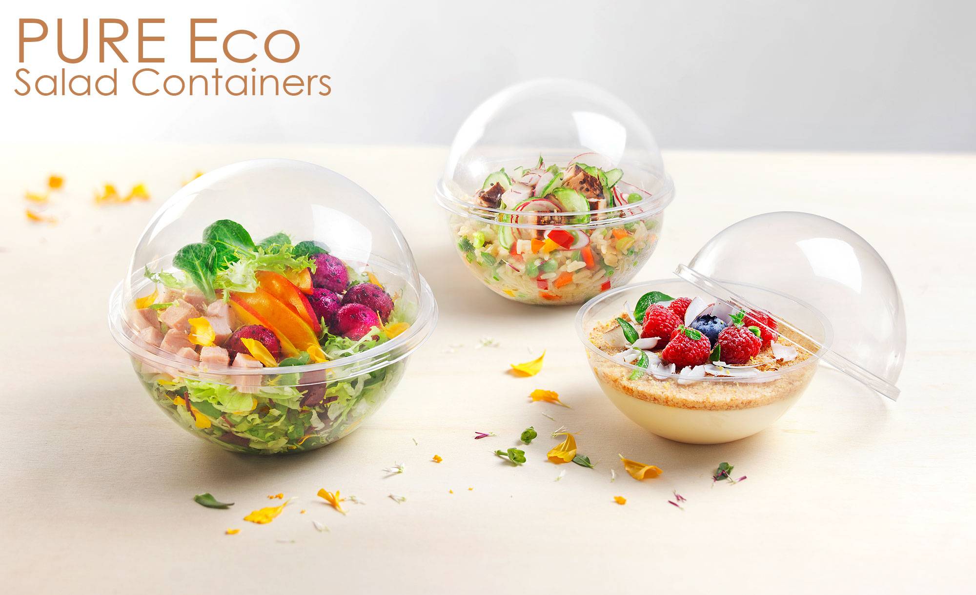 Disposable Salad Container & Bowls with Lids - Sweet Flavor - Creative  Tableware Designer